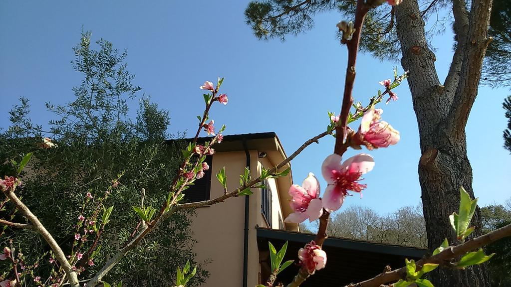 Agriturismo Podere Borgognano Massa Marittima Eksteriør bilde