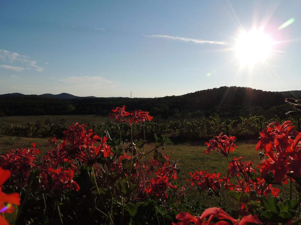 Agriturismo Podere Borgognano Massa Marittima Eksteriør bilde