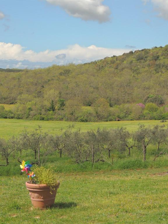 Agriturismo Podere Borgognano Massa Marittima Eksteriør bilde